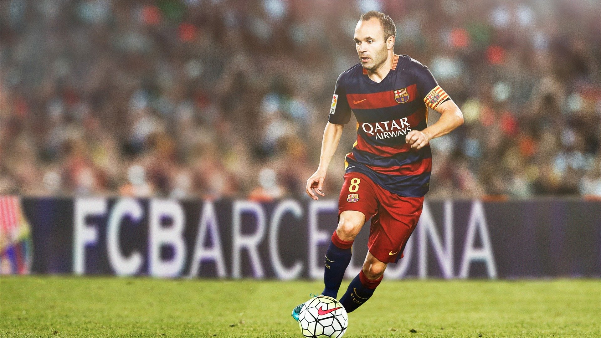 中国跳水队包揽世界杯金牌 新生代选手展现绝对实力