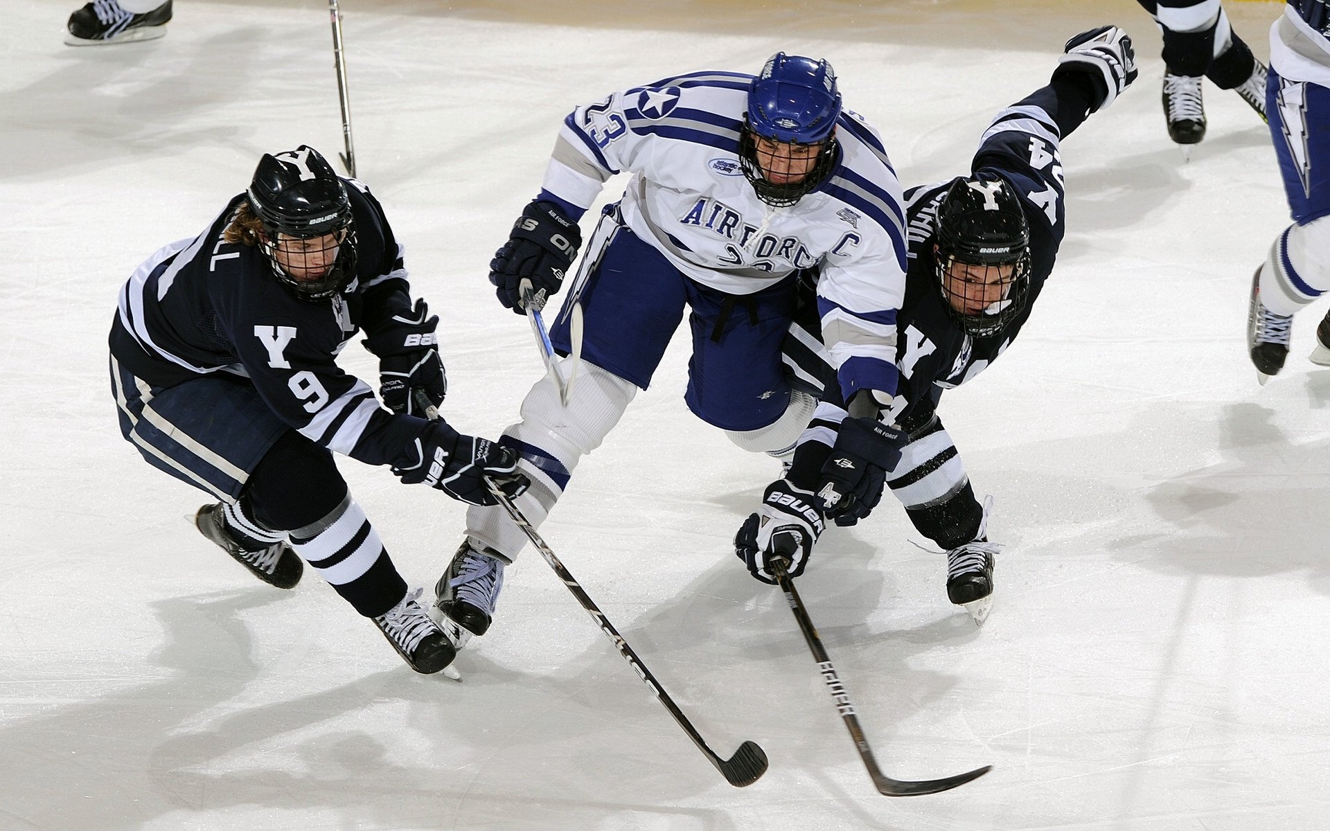 全国羽毛球锦标赛圆满落幕 新锐选手表现抢眼